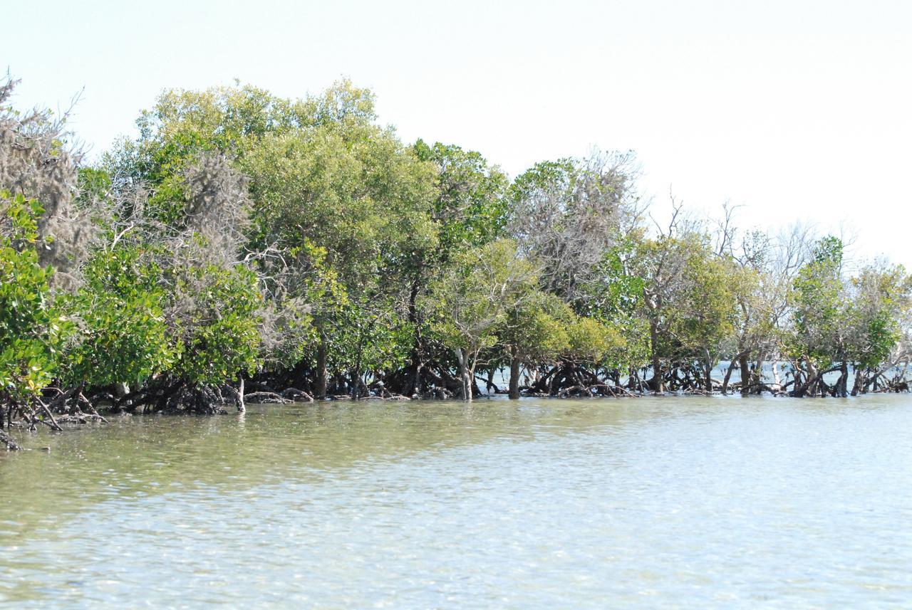 Anakao Ocean Lodge المظهر الخارجي الصورة